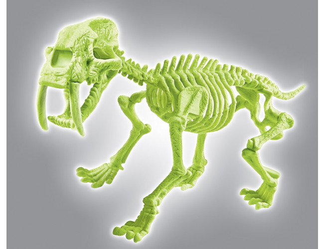 Skamieniałości - Smilodon FluorescencyjnyClementoni60891