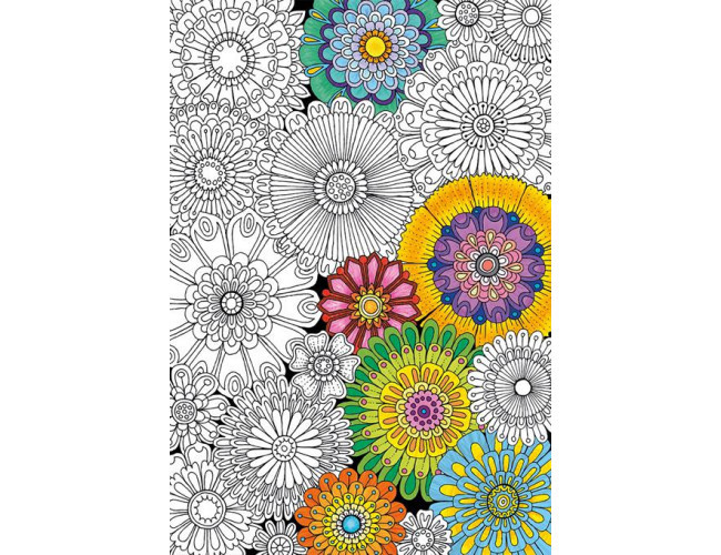 Puzzle do kolorowania - Duże, Piękne Kwiaty Puzzle 17090 